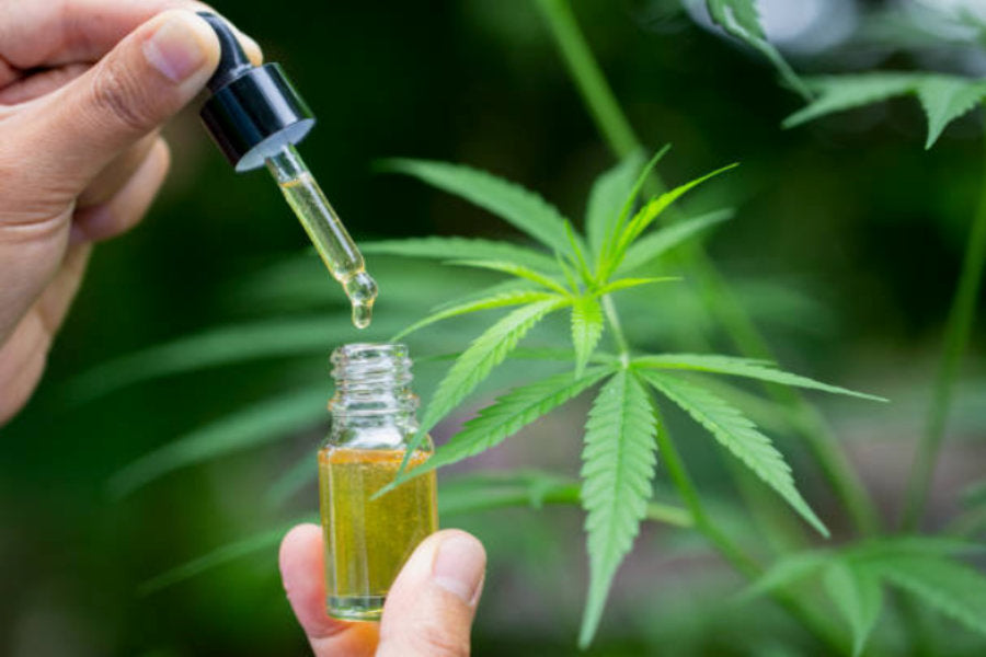 Sativiol Premium CBD le Sativia sativiol-premium-cbd-le-sativia
