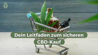 CBD Öl kaufen: Dein Leitfaden zum sicheren CBD-Kauf