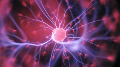 Das Endocannabinoid-System: Funktion & CBD