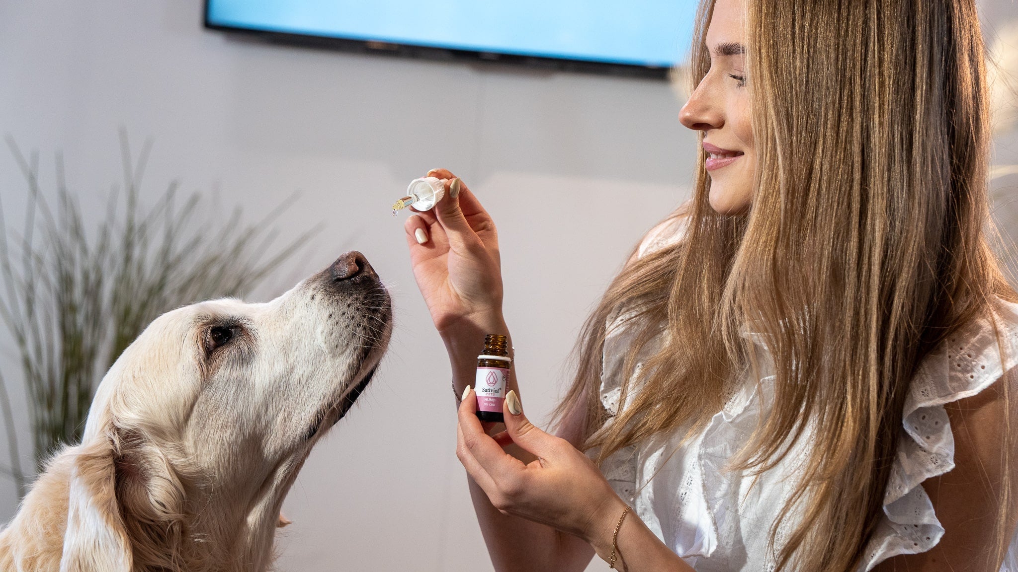 CBD für Tiere