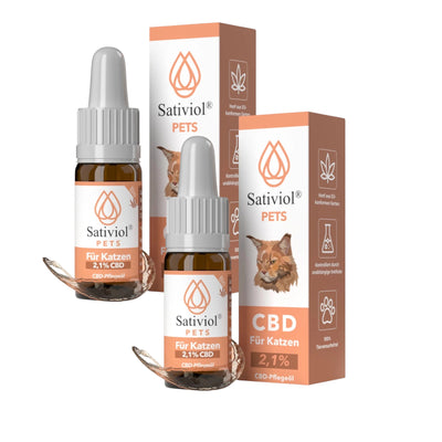 CBD Öl für Katzen